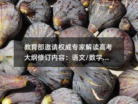 教育部邀請(qǐng)權(quán)威專(zhuān)家解讀高考大綱修訂內(nèi)容:語(yǔ)文/數(shù)學(xué)/物理