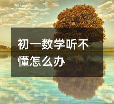 初一數(shù)學(xué)聽(tīng)不懂怎么辦
