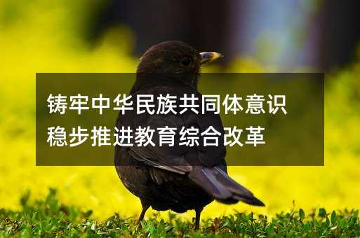 鑄牢中華民族共同體意識 穩步推進教育綜合改革