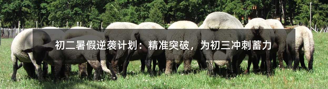 uӋ(j)(zhn)ͻƣ_