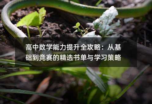 高中數(shù)學(xué)能力提升全攻略:從基礎(chǔ)到競賽的精選書單與學(xué)習(xí)策略