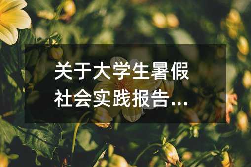 關于大學生暑假社會實踐報告范文