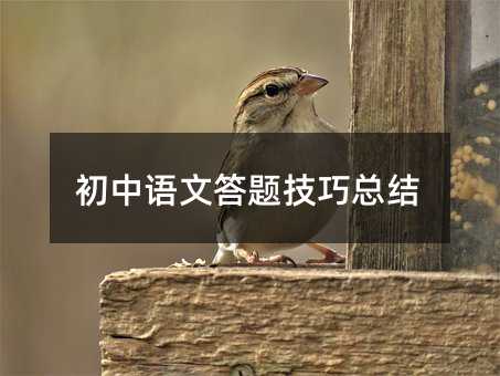 初中語文答題技巧總結