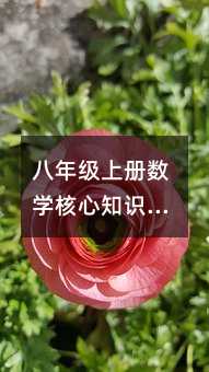 꼉(j)σ(c)(sh)W(xu)֪R(sh)c(din)Ƚƽ(sh)(sh)cλ(sh)