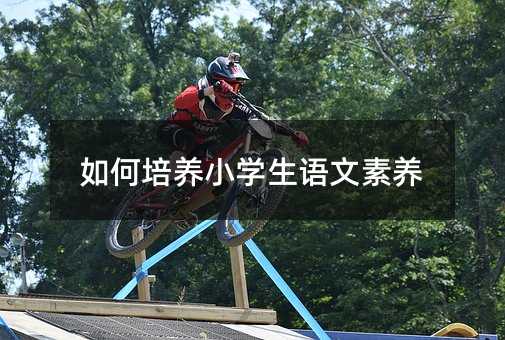 如何培養小學生語文素養