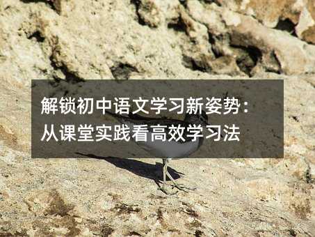 解鎖初中語文學(xué)習(xí)新姿勢:從課堂實踐看高效學(xué)習(xí)法
