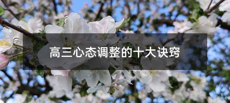 đB{ʮE[