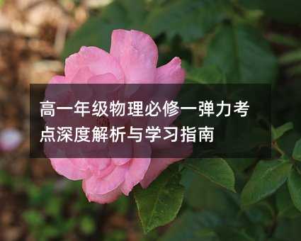 高一年級(jí)物理必修一彈力考點(diǎn)深度解析與學(xué)習(xí)指南
