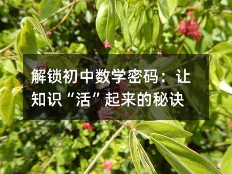 解鎖初中數(shù)學(xué)密碼:讓知識“活”起來的秘訣