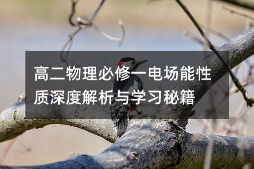 高二物理必修一電場能性質深度解析與學習秘籍