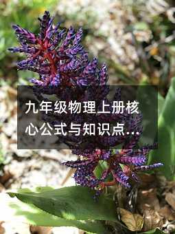 九年級物理上冊核心公式與知識點(diǎn)全解析