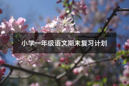СWһ꼉ZĩӋ