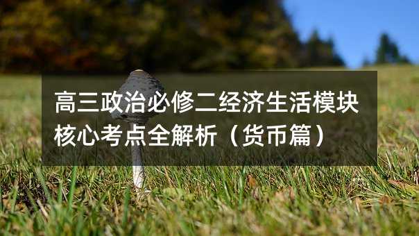 高三政治必修二經(jīng)濟生活模塊核心考點全解析(貨幣篇)
