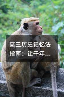 高三歷史記憶法指南:讓千年往事躍然于心的五大秘籍