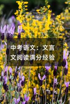 中考語文:文言文閱讀滿分經驗
