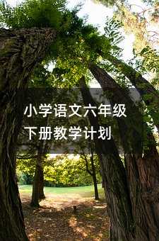 СW(xu)Z꼉Խ̌W(xu)Ӌ(j)