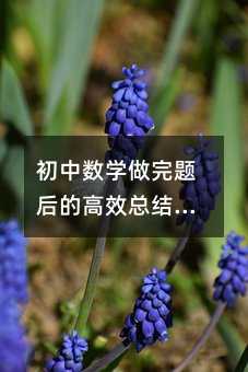 Д(sh)W}ĸЧY(ji)ؼiW¾