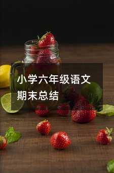 小學六年級語文期末總結