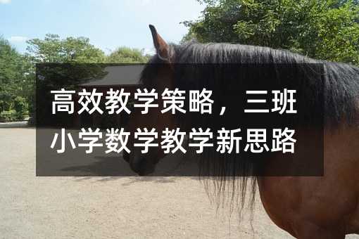 高效教學策略,三班小學數學教學新思路