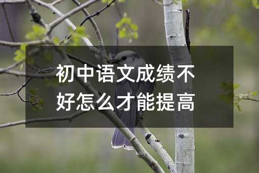 初中語文成績不好怎么才能提高