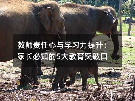 教師責任心與學習力提升:家長必知的5大教育突破口