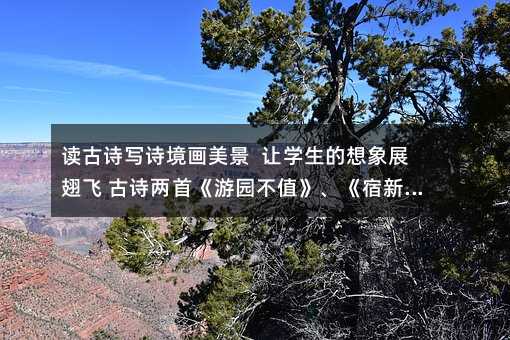 xԊ(sh)(xi)Ԋ(sh)(hu)  ׌W(xu)չw Ԋ(sh)סΈ@ֵ칫꡷