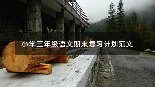 СW꼉ZĩӋ