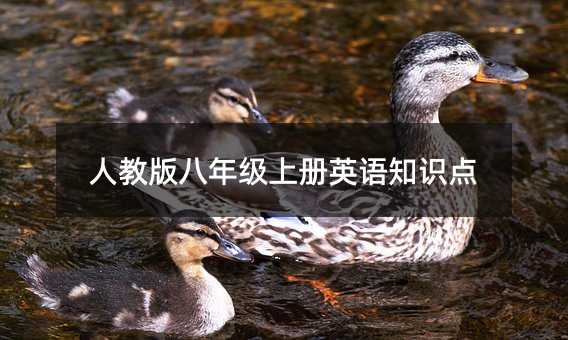 人教版八年級上冊英語知識點