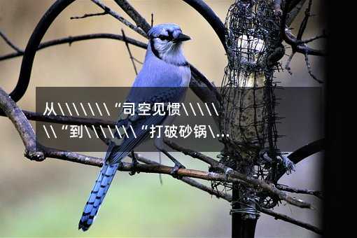 ġ˾ҊTɰ偡aСW(xu)Z(y)n˼S