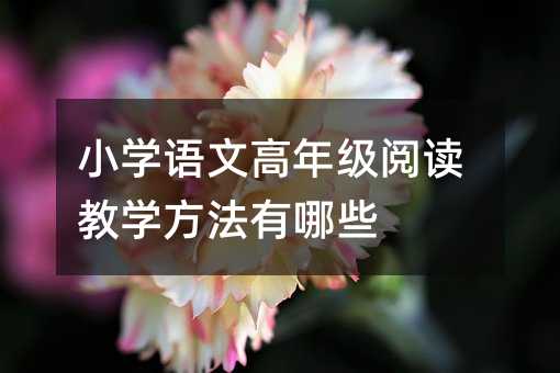 СWZĸ꼉x̌WЩ