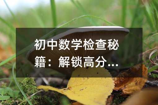 初中數學檢查秘籍:解鎖高分密碼