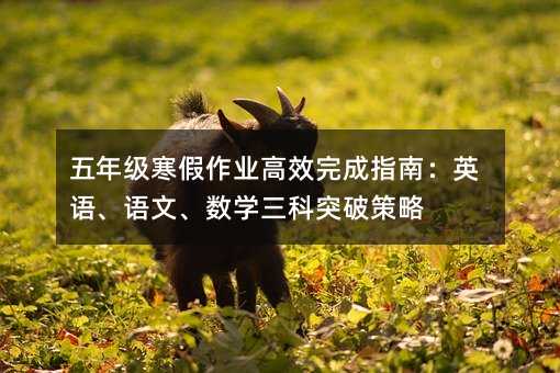 五年級寒假作業高效完成指南:英語、語文、數學三科突破策略