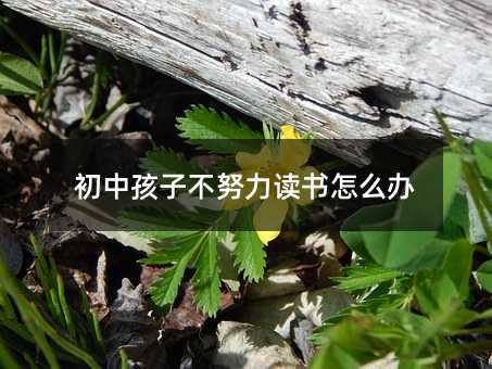 初中孩子不努力讀書怎么辦