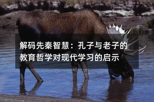 解碼先秦智慧:孔子與老子的教育哲學(xué)對現(xiàn)代學(xué)習(xí)的啟示