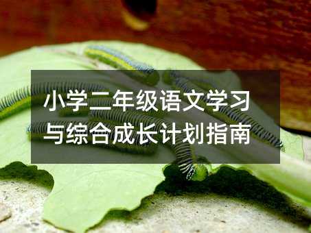 小學(xué)二年級語文學(xué)習(xí)與綜合成長計(jì)劃指南