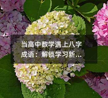 當(dāng)高中數(shù)學(xué)遇上八字成語:解鎖學(xué)習(xí)新視角