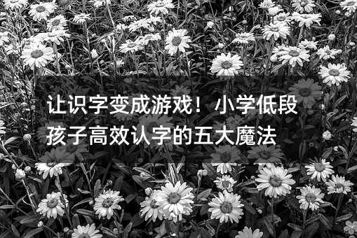 讓識(shí)字變成游戲!小學(xué)低段孩子高效認(rèn)字的五大魔法