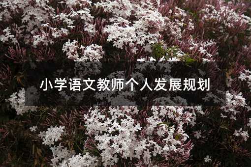 小學(xué)語文教師個人發(fā)展規(guī)劃