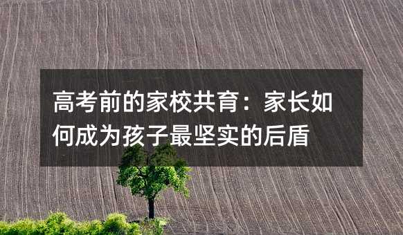 高考前的家校共育:家長如何成為孩子最堅(jiān)實(shí)的后盾
