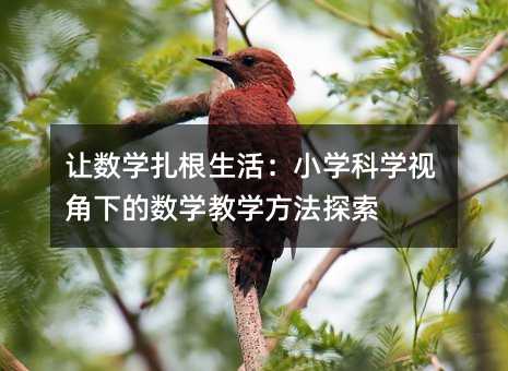 讓數學扎根生活:小學科學視角下的數學教學方法探索