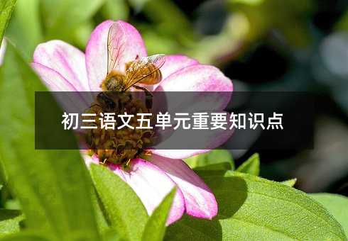 初三語文五單元重要知識點