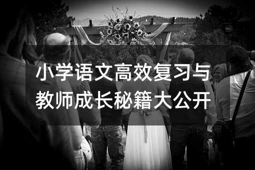 小學語文高效復習與教師成長秘籍大公開