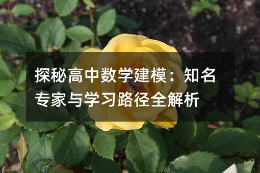 探秘高中數學建模:知名專家與學習路徑全解析