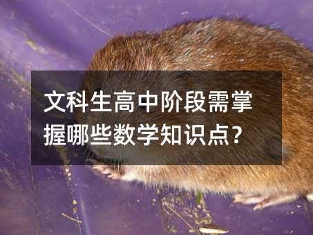 文科生高中階段需掌握哪些數學知識點?
