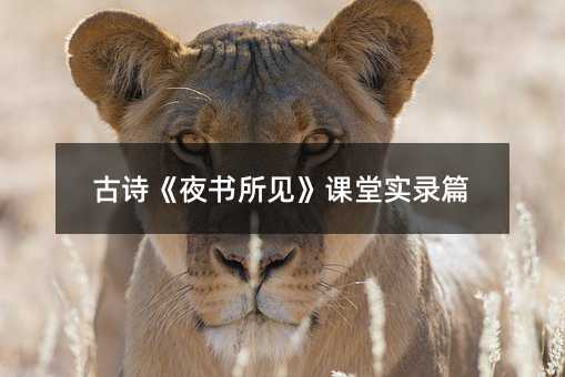 古詩《夜書所見》課堂實錄篇