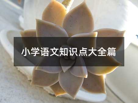 小學語文知識點大全篇