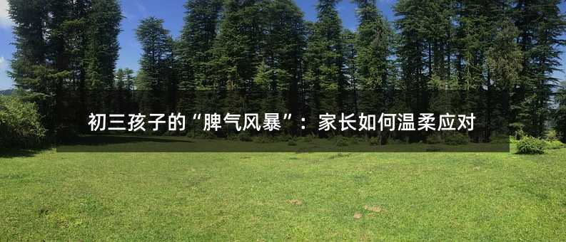 �������ӵġ�Ƣ���L���������L��Μ��ᑪ��