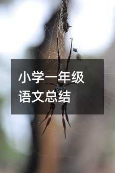 СWһ꼉ZĿY