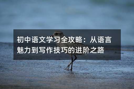 初中語文學(xué)習(xí)全攻略:從語言魅力到寫作技巧的進階之路