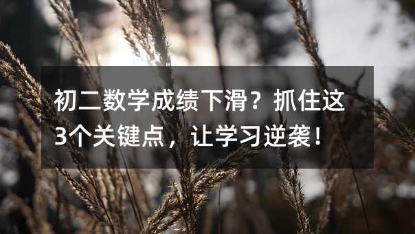 初二數學成績下滑?抓住這3個關鍵點,讓學習逆襲!